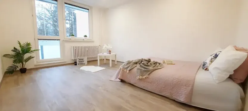 Pronájem bytu 1+1, Brno, Fričova, 46 m2