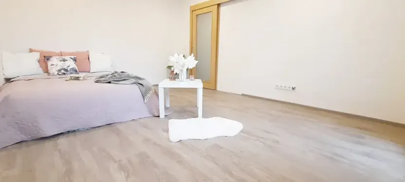 Pronájem bytu 1+1, Brno, Fričova, 46 m2