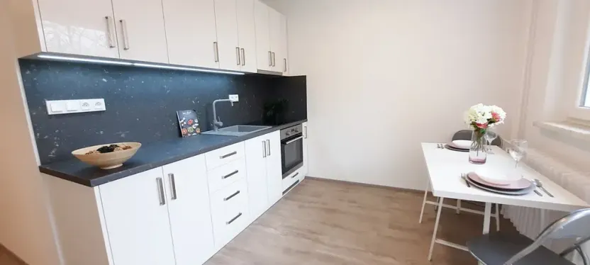 Pronájem bytu 1+1, Brno, Fričova, 46 m2