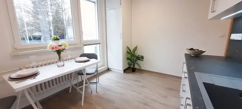 Pronájem bytu 1+1, Brno, Fričova, 46 m2