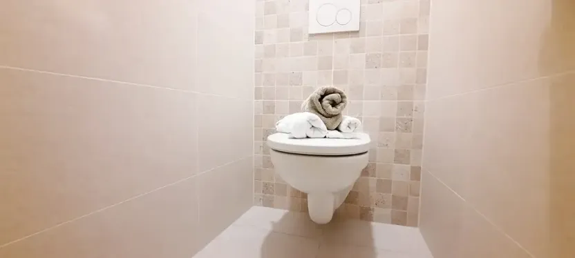 Pronájem bytu 1+1, Brno, Fričova, 46 m2