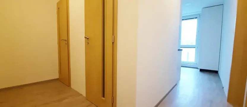 Pronájem bytu 1+1, Brno, Fričova, 46 m2