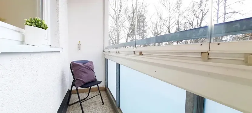 Pronájem bytu 1+1, Brno, Fričova, 46 m2