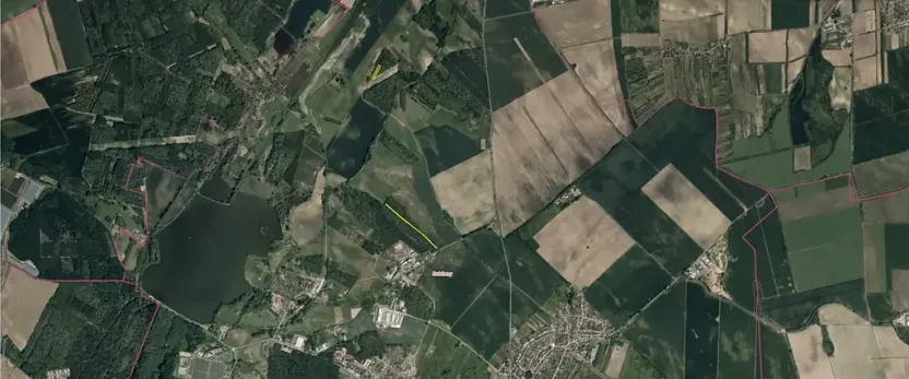 Prodej lesa, Dubňany, 5378 m2