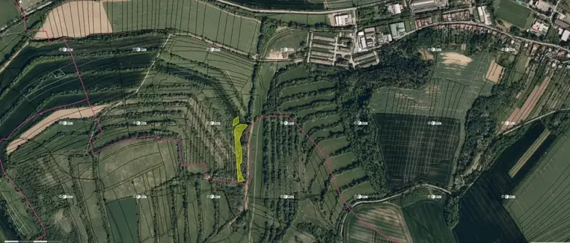 Prodej podílu pole, Boršice, 8735 m2