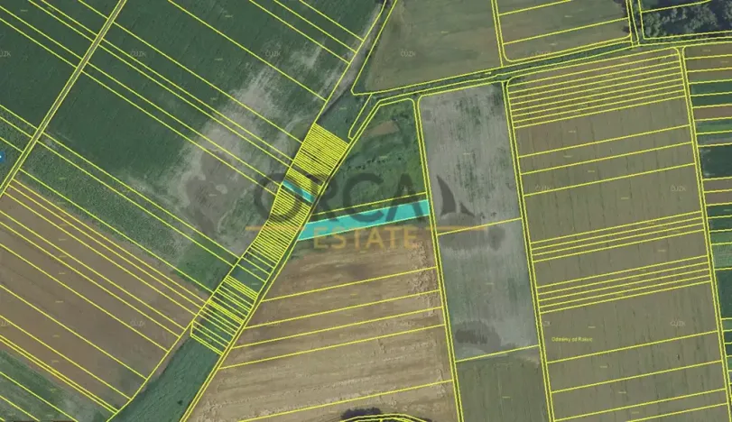 Prodej pole, Podivín, 2403 m2