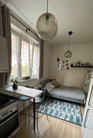 Prodej bytu 1+kk, Praha - Nusle, Pod vilami, 21 m2