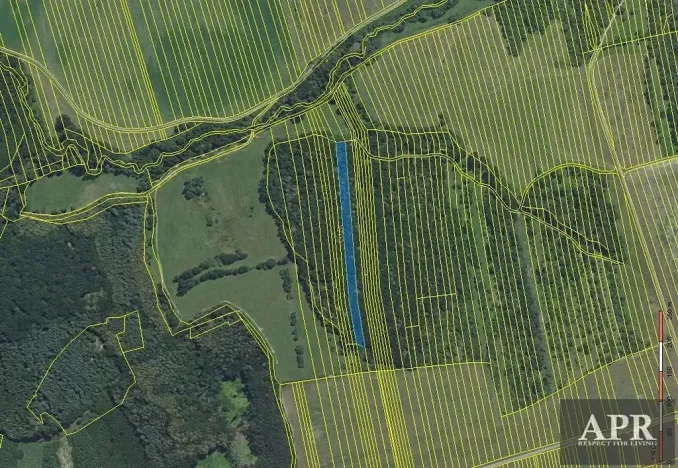 Prodej lesa, Hradčovice, 4947 m2