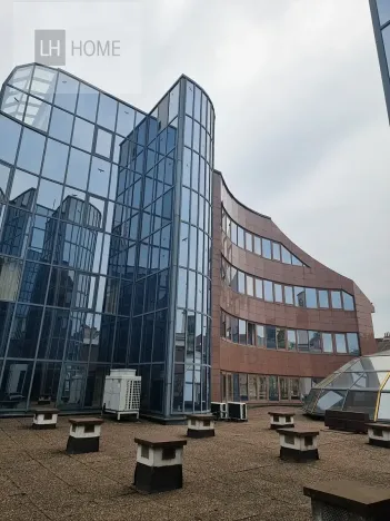 Pronájem obchodního prostoru, Plzeň, 1000 m2