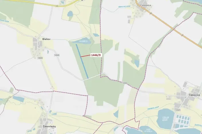 Dražba lesa, Břehov, 19879 m2
