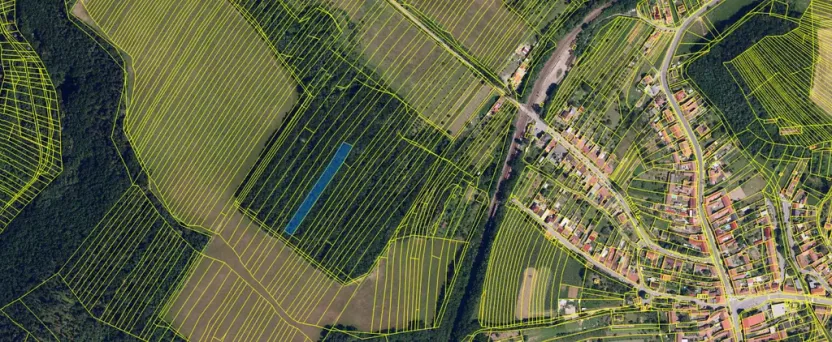 Prodej lesa, Silůvky, 2829 m2