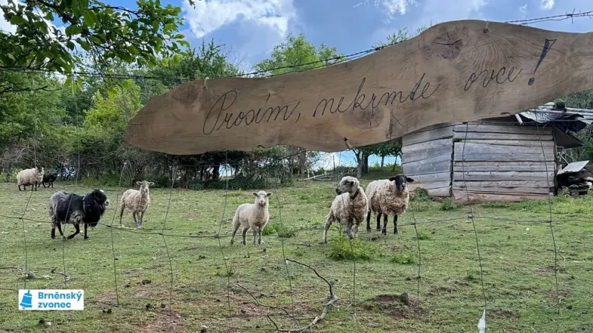 Prodej chaty, Tišnov, 25 m2