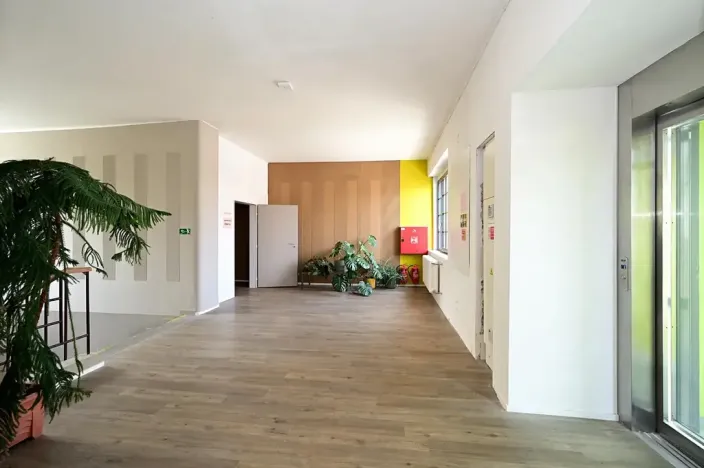 Pronájem ordinace, Hradec Králové, Pospíšilova, 55 m2