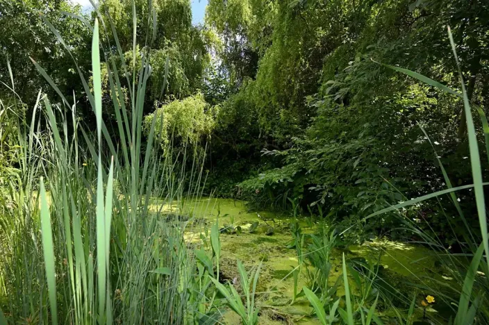 Pronájem rodinného domu, Světice, Na Spojce, 320 m2