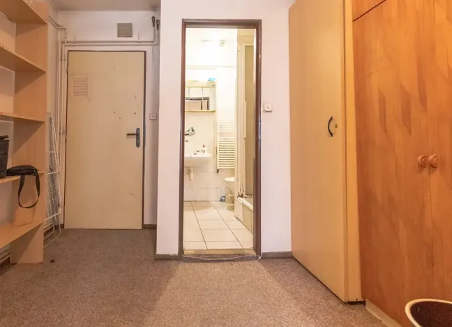 Pronájem bytu 1+kk, Mladá Boleslav, 25 m2