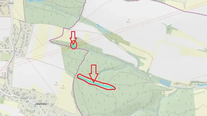 Prodej lesa, Rájec, 5476 m2