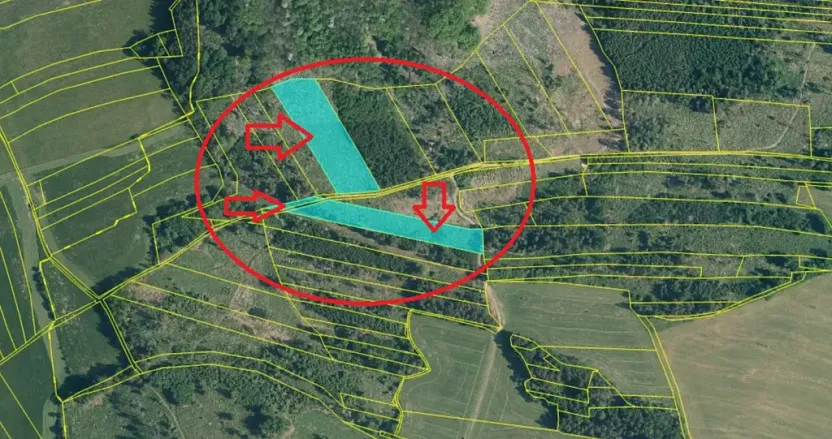 Prodej lesa, Úboč, 13538 m2