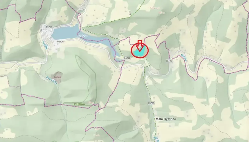 Prodej podílu lesa, Malá Bystřice, 5829 m2