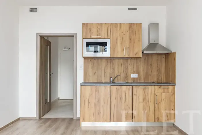 Pronájem bytu 1+kk, Praha - Vršovice, Petrohradská, 30 m2