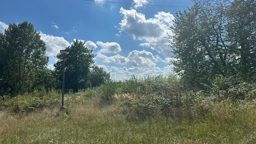 Prodej ubytování, Bílé Poličany, 1000 m2