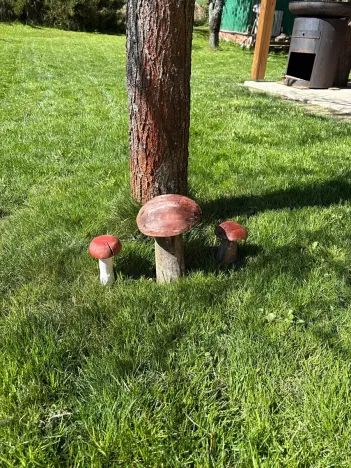 Prodej chaty, Jistebnice, 50 m2