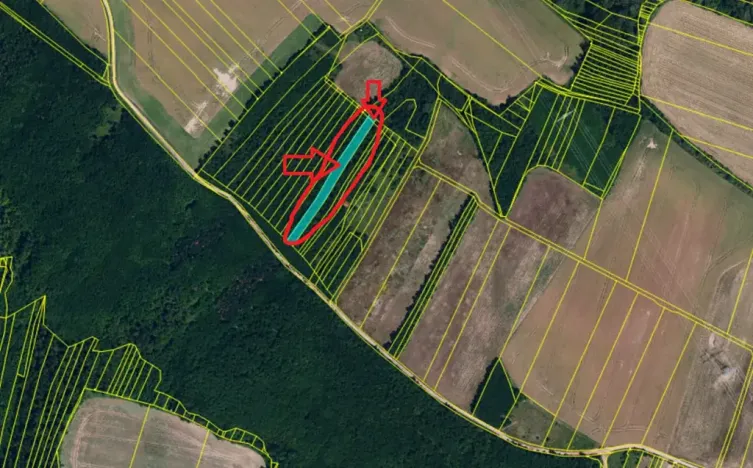 Prodej lesa, Rybníky, 3133 m2