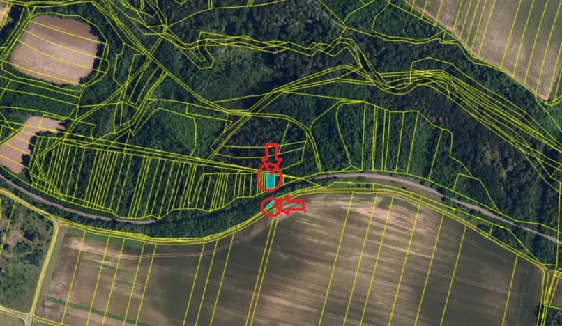 Prodej lesa, Rybníky, 3133 m2