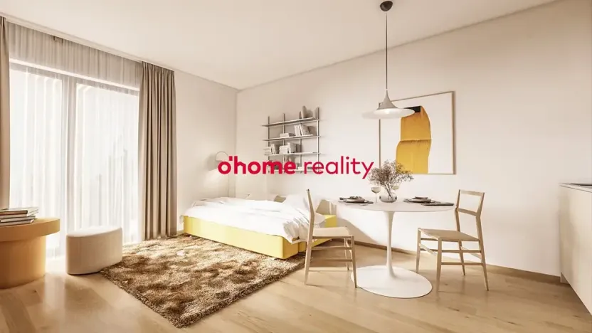 Prodej bytu 1+kk, Olomouc, Okružní, 29 m2