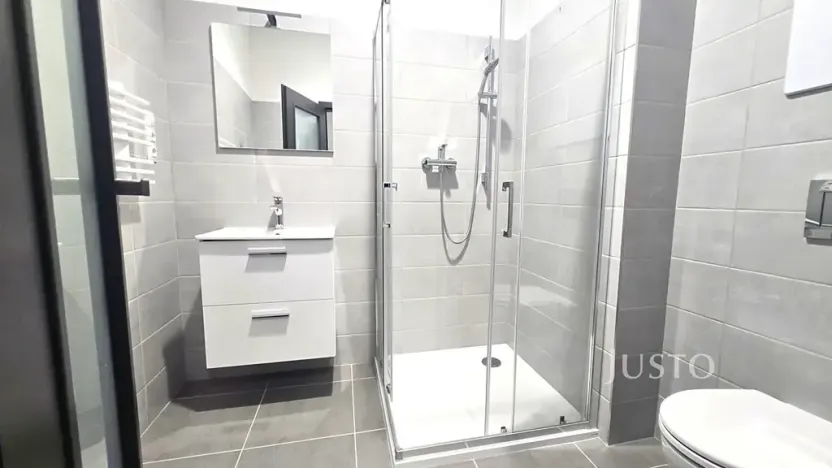 Pronájem bytu 1+kk, Písek, Vladislavova, 40 m2