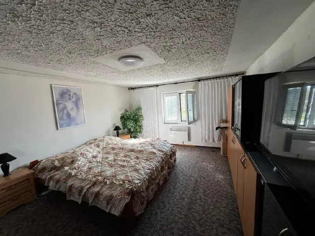 Prodej rodinného domu, Chlum Svaté Maří, Mariánská, 250 m2