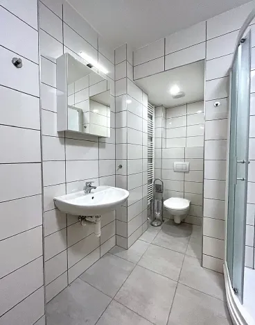 Pronájem bytu 1+1, Brno, Cihlářská, 34 m2