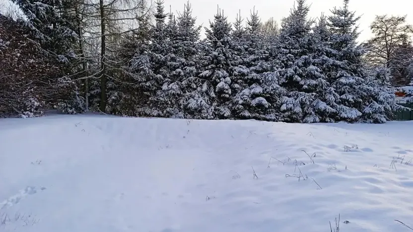 Prodej pozemku pro bydlení, Meziměstí, 2212 m2