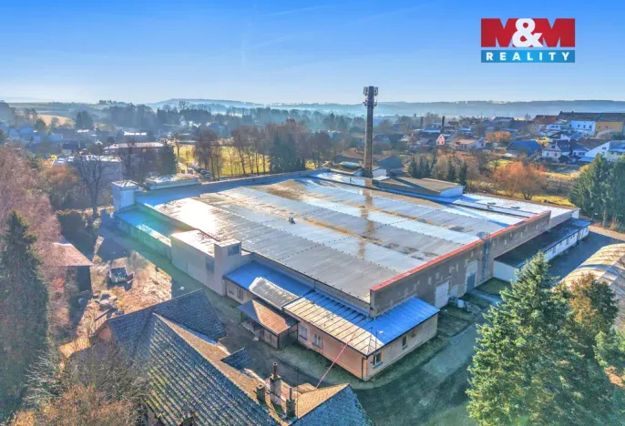 Prodej výrobních prostor, Miletín, Lhotova, 22000 m2