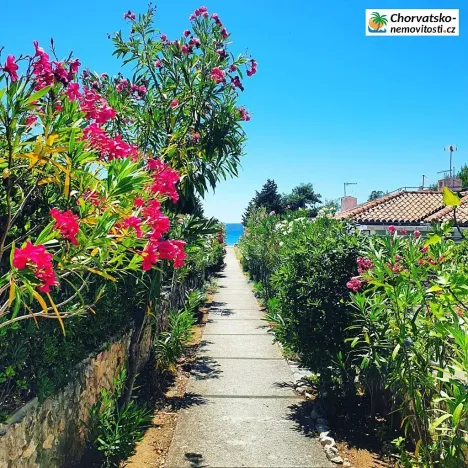 Prodej bytu 1+kk, Gajac, Chorvatsko, 22 m2