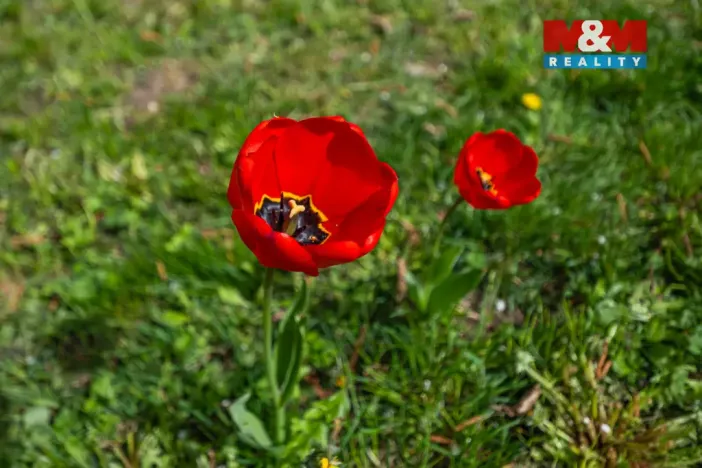 Prodej chaty, Chomutov, 19 m2