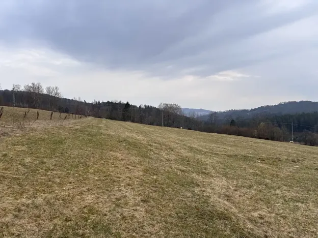 Prodej louky, Proseč pod Ještědem, 3510 m2