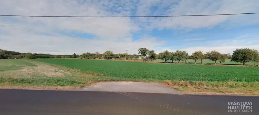 Prodej pole, Chlumec nad Cidlinou, 8295 m2