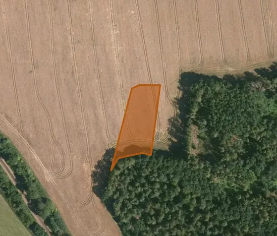 Prodej pole, Kasejovice, 5802 m2