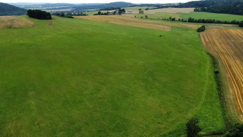 Prodej pole, Srby, 44796 m2