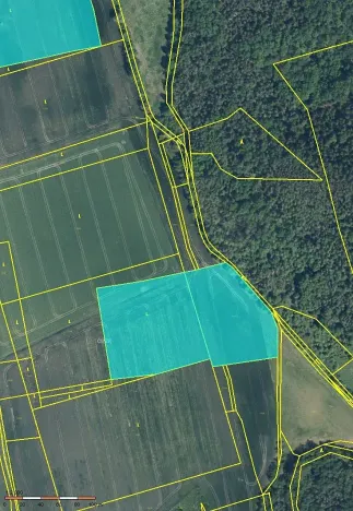 Prodej pole, Nové Sedlo, 116556 m2