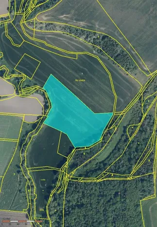 Prodej pole, Nové Sedlo, 116556 m2