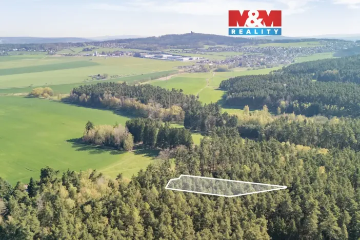 Prodej lesa, Losiná, 2645 m2