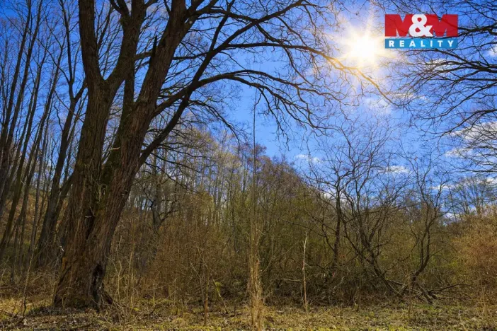 Prodej lesa, Snědovice - Střížovice, 2037 m2