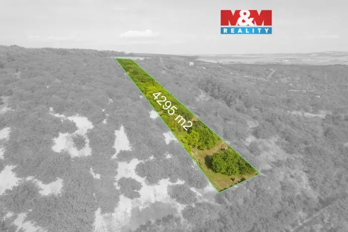 Prodej pole, Židlochovice, 4295 m2