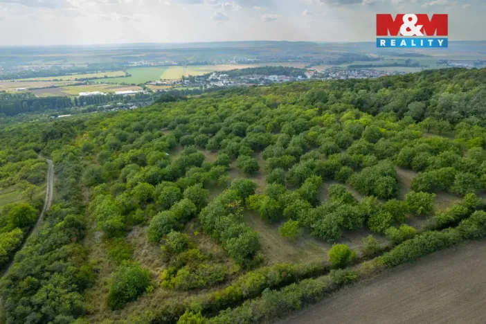 Prodej pole, Židlochovice, 4295 m2