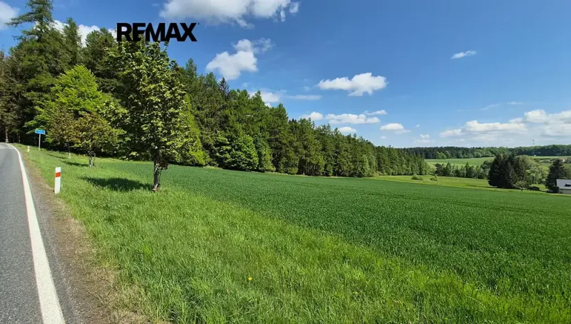 Prodej pozemku pro bydlení, Borová, 7429 m2