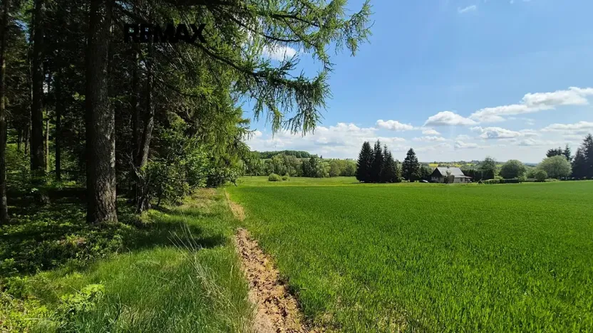 Prodej pozemku pro bydlení, Borová, 7429 m2