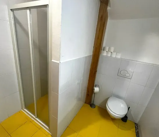 Pronájem bytu 2+kk, Nový Jičín, Žerotínova, 79 m2