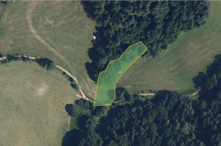 Prodej louky, Zborov, 9806 m2