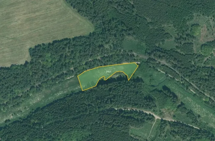 Prodej louky, Bor, 4514 m2